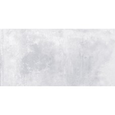 Керамическая плитка Laparet Etnis настенная светло-серый 18-00-06-3644 30х60