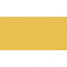 Керамогранит матовый Feeria Adonis rose yellow 600х1200х10 Желтый горицвет - GTF463