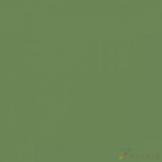 Керамогранит матовый Feeria Algae green 600х600х10 Зеленые водоросли - GTF475